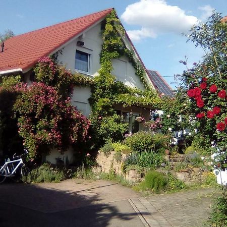 Moebliertes Zimmer, Pluederhausen Pluderhausen Ngoại thất bức ảnh